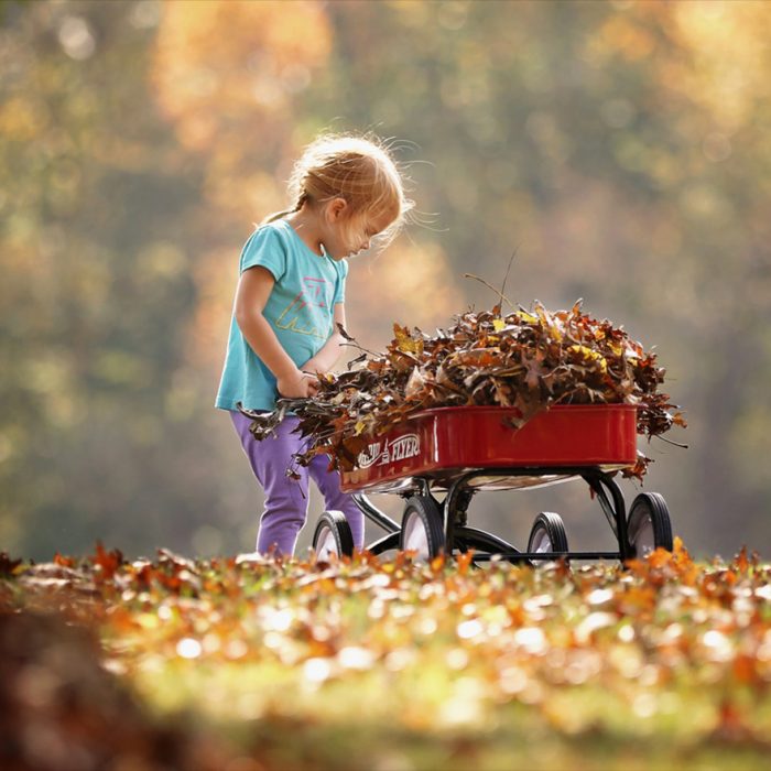 wheelbarrow girl square